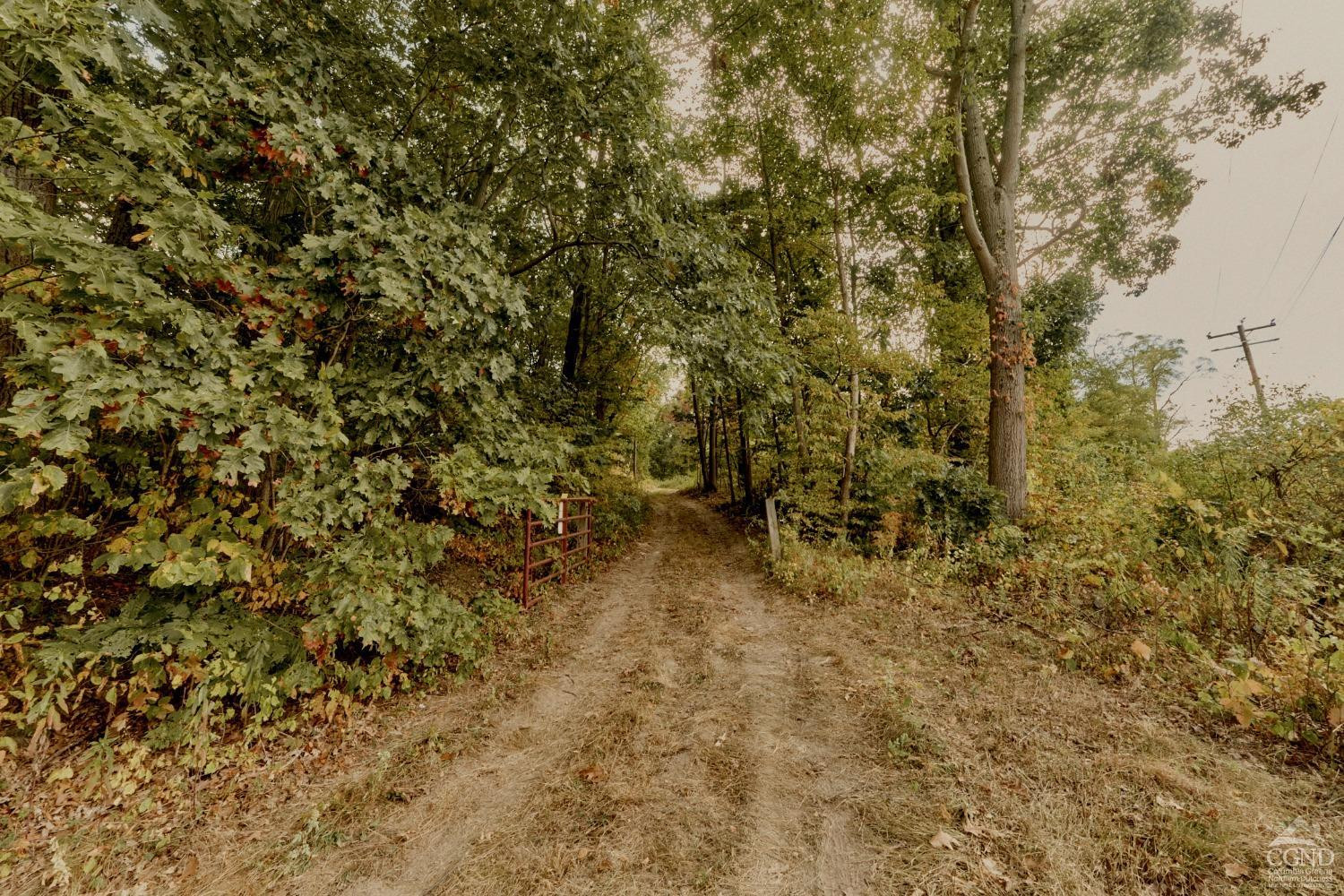 0 River Road Schodack Landing, NY 12156 - Photo 28 of 28 a view of a yard with a tree