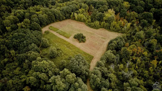 a view of a lake with green field and trees