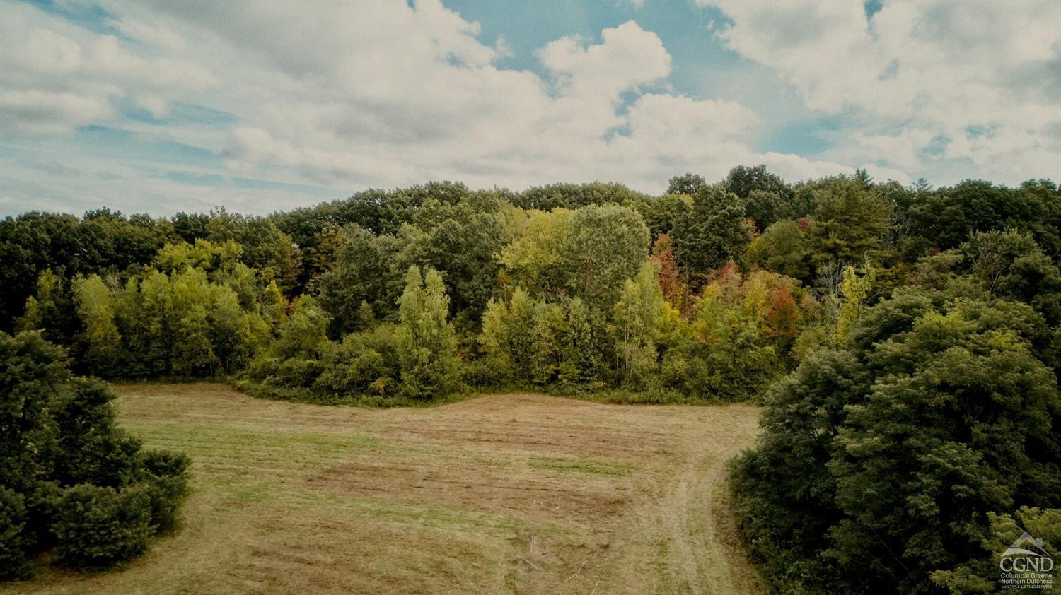 0 River Road Schodack Landing, NY 12156 - Photo 7 of 28 a view of outdoor space and yard