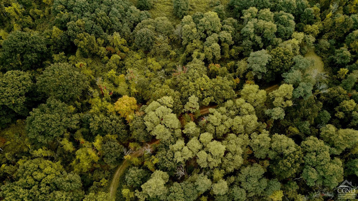 0 River Road Schodack Landing, NY 12156 - Photo 9 of 28