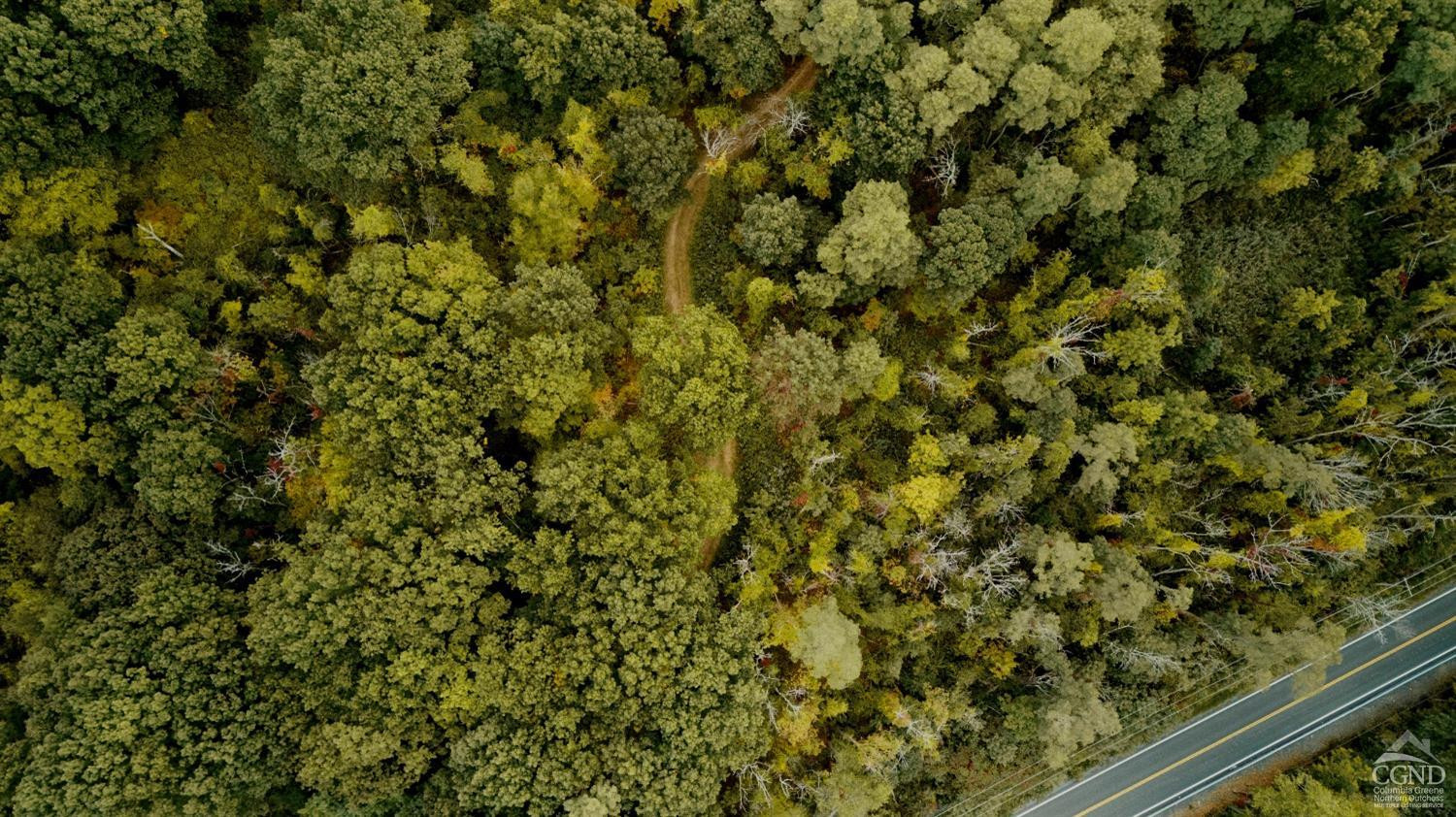 0 River Road Schodack Landing, NY 12156 - Photo 10 of 28 a view of a green field with plants