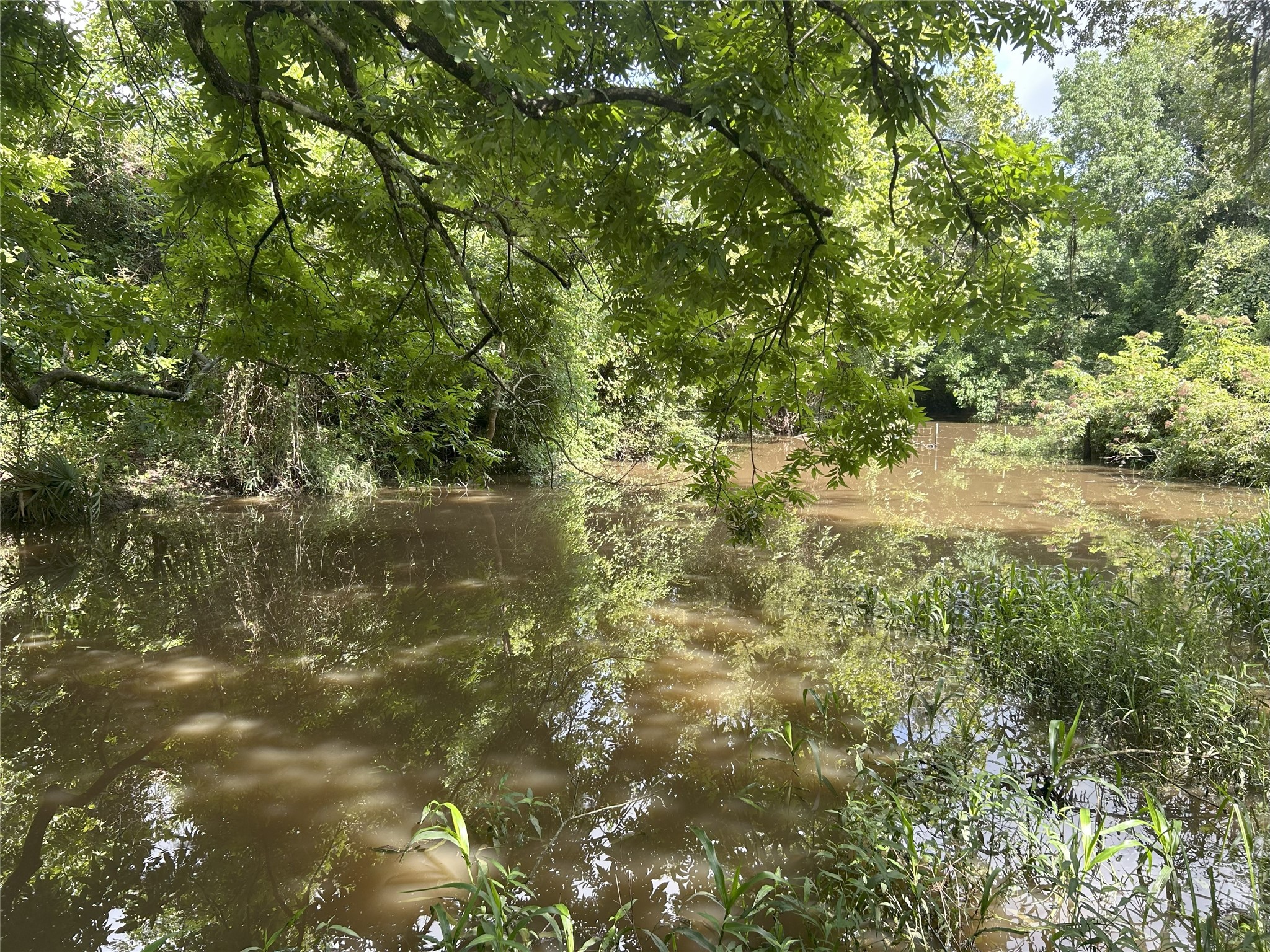 Tbd Holik Road Hempstead, TX 77445 - Photo 45 of 50