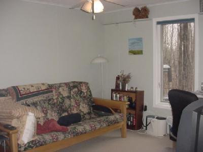 18340 Adams Road Galien, MI 49113 - Photo 11 of 27 Additional Photo