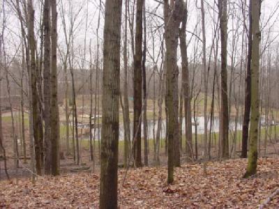 18340 Adams Road Galien, MI 49113 - Photo 14 of 27 Additional Photo