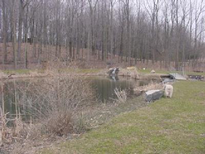 18340 Adams Road Galien, MI 49113 - Photo 18 of 27 Additional Photo