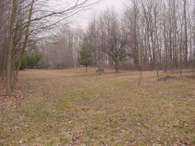 18340 Adams Road Galien, MI 49113 - Photo 24 of 27 Additional Photo