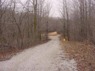 18340 Adams Road Galien, MI 49113 - Photo 26 of 27 Additional Photo