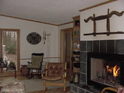 18340 Adams Road Galien, MI 49113 - Photo 4 of 27 Additional Photo