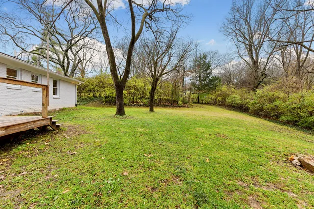 a view of a yard with large trees