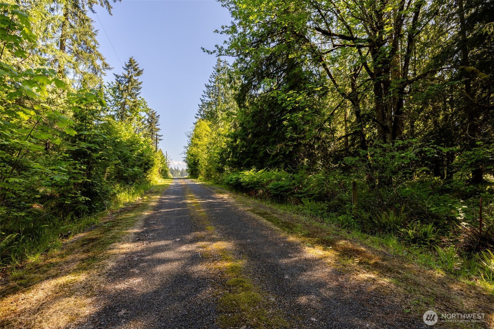 1716 304th Street East Roy, WA 98580 - Photo 9 of 21 a view of a yard with plants and trees