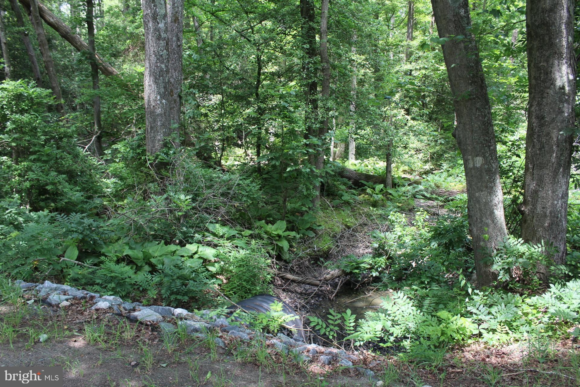 Lot 3 Jackson Road Salisbury, MD 21804 - Photo 8 of 20