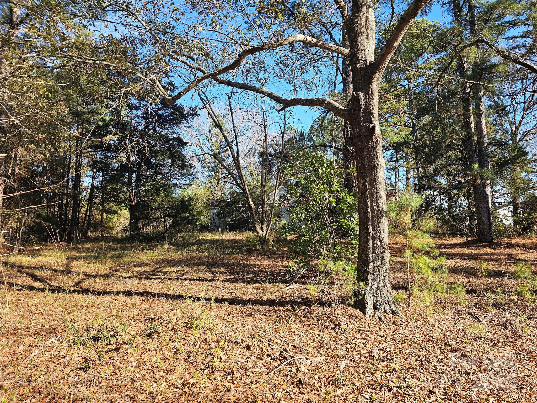 2565 J B Denton Road Lancaster, SC 29720 - Photo 2 of 2 Gallery Image 2