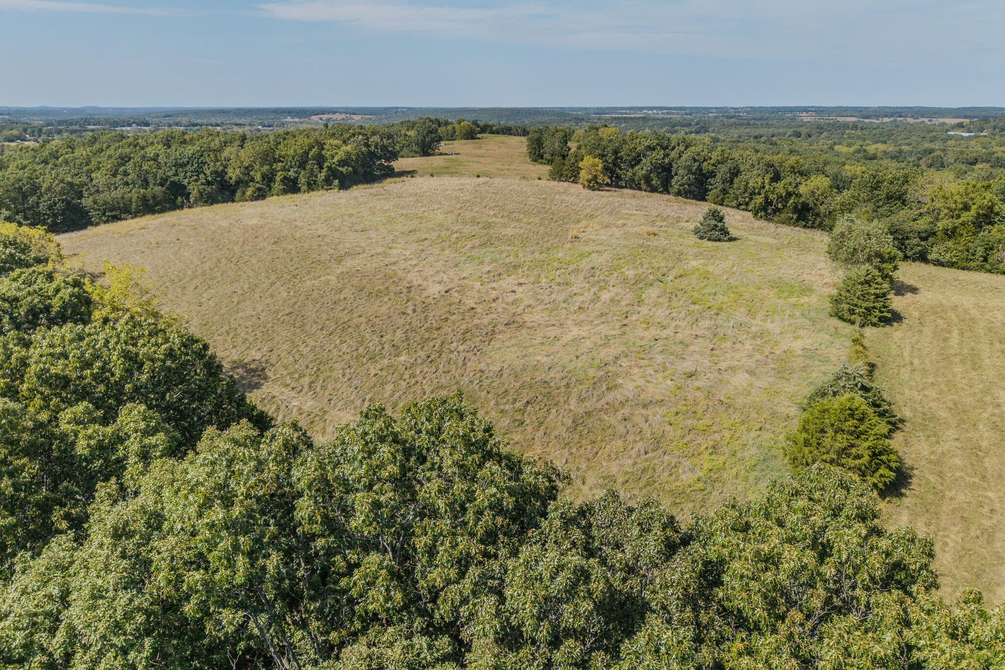 0 White Clover Road Strafford, MO 65757 - Photo 16 of 38 Aerial
