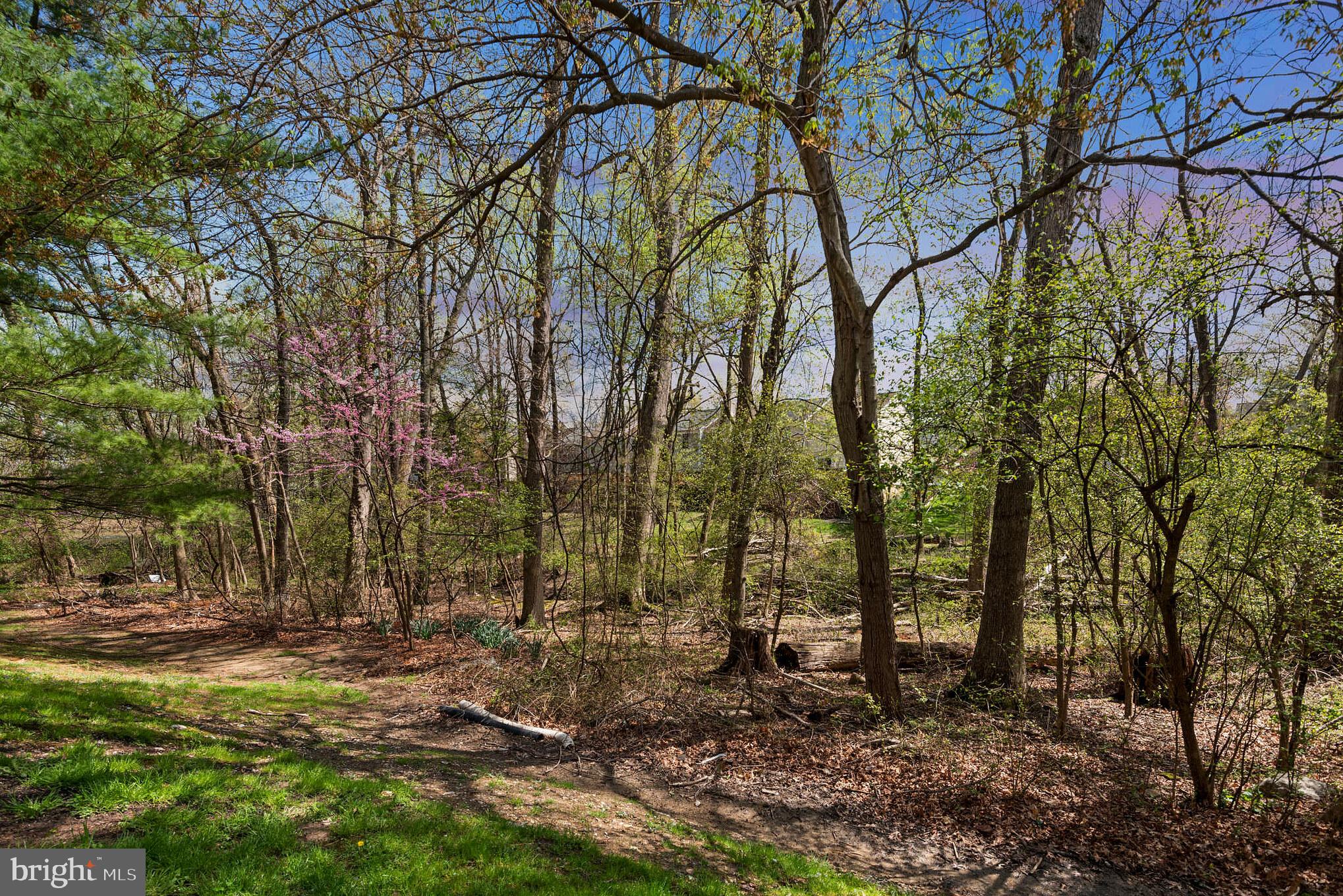 15007 Shamrock Ridge Road Silver Spring, MD 20906 - Photo 34 of 35 Gallery Image 34