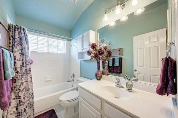 a bathroom with a sink a toilet and a large mirror