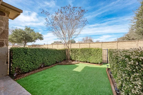 a view of a garden with a tree