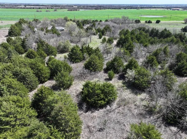 an aerial view of a forest with houses