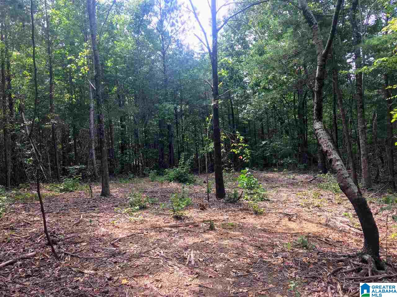 2565 Kentuck Road, Unit 4569 Oxford, AL 36203 - Photo 41 of 46