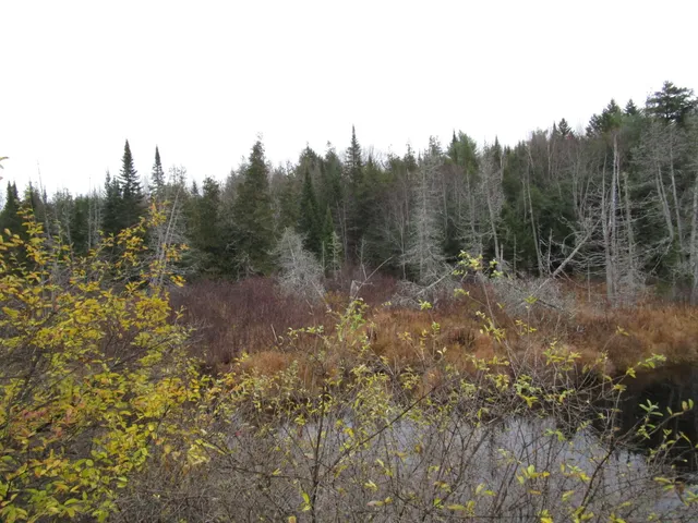 $109,000 | Lot 25 Medford Centre, Medford, ME 04463