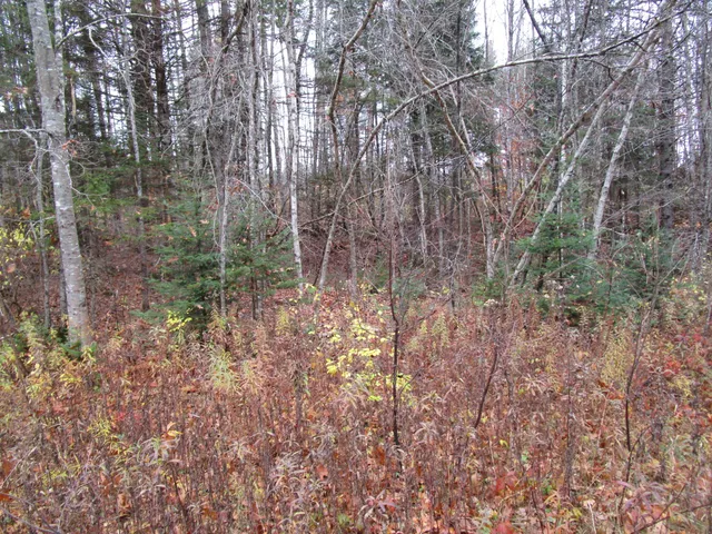 $109,000 | Lot 25 Medford Centre, Medford, ME 04463
