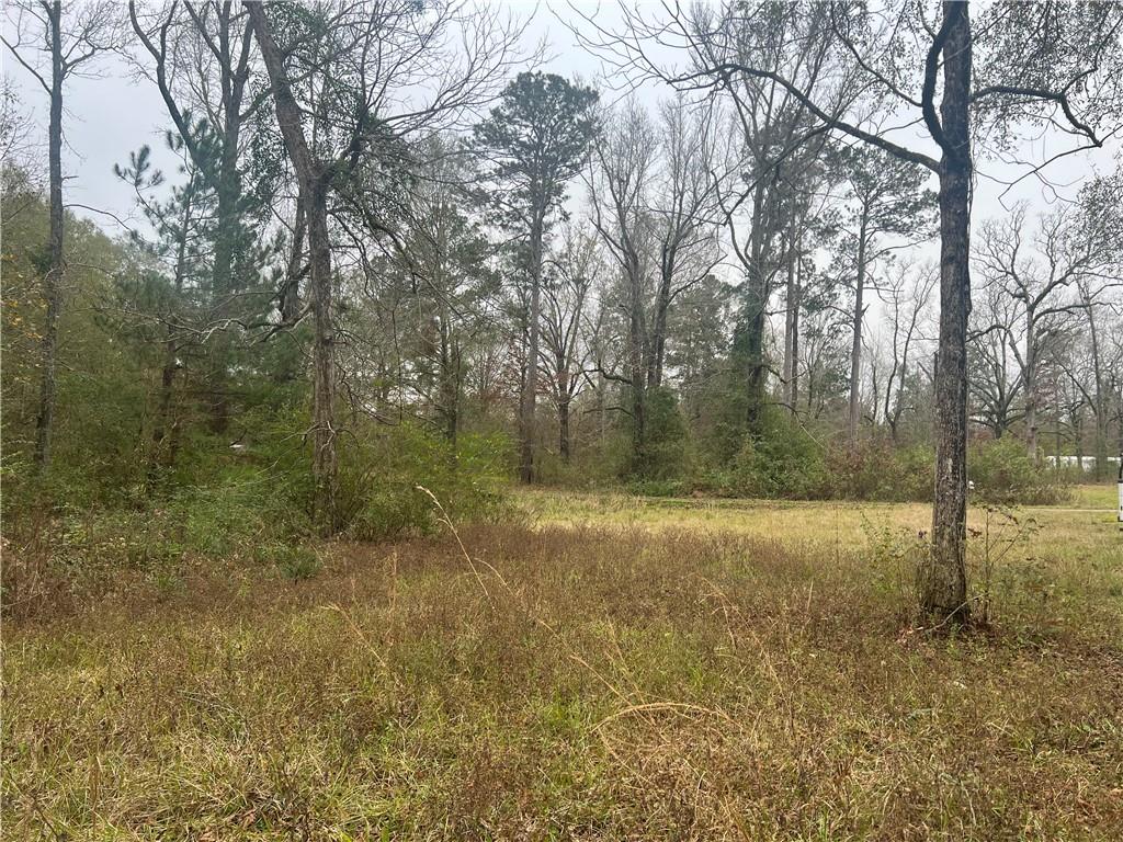 1161 Philadelphia Road Deville, LA 71328 - Photo 2 of 13