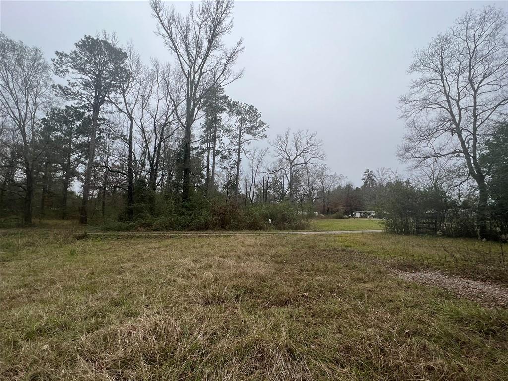1161 Philadelphia Road Deville, LA 71328 - Photo 4 of 13