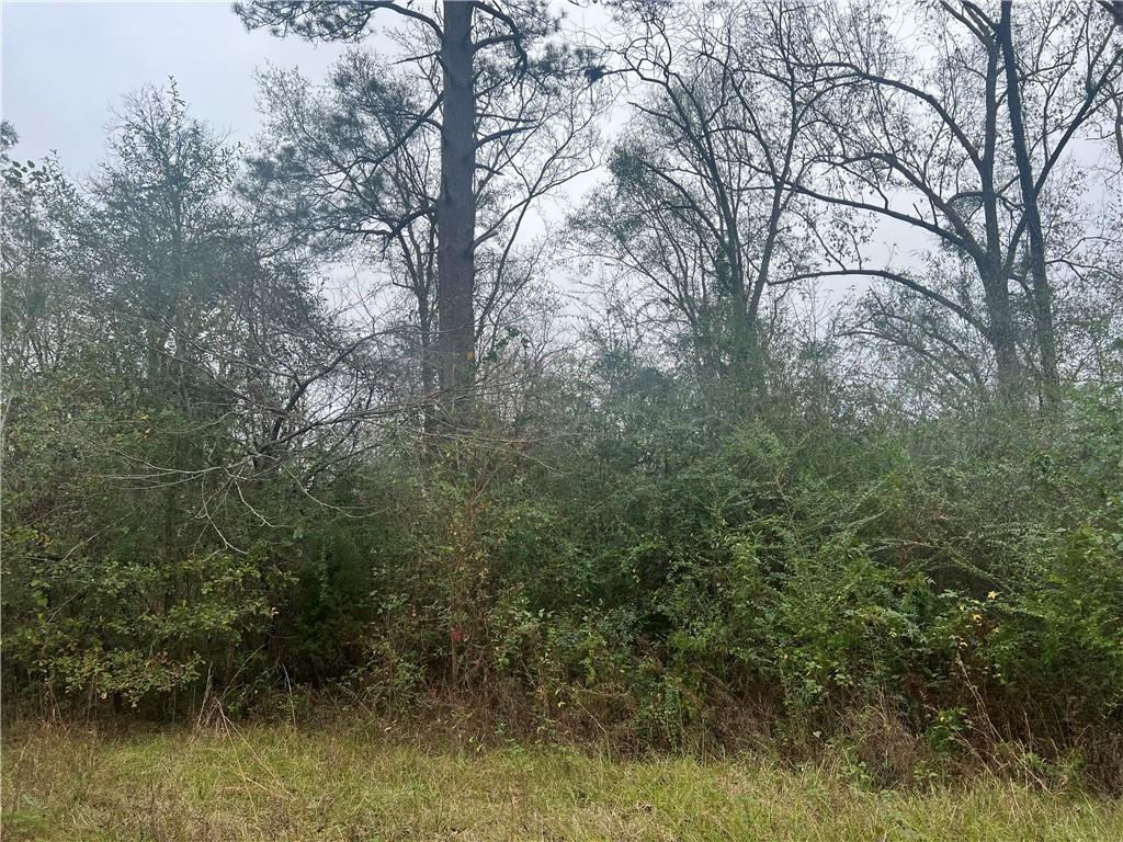 1161 Philadelphia Road Deville, LA 71328 - Photo 7 of 13