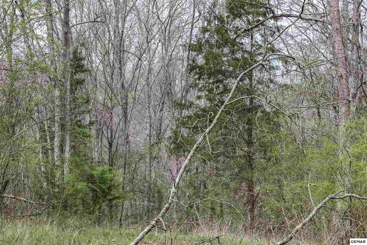 1940 Long Branch Road Seymour, TN 37865 - Photo 29 of 35 Gallery Image 29