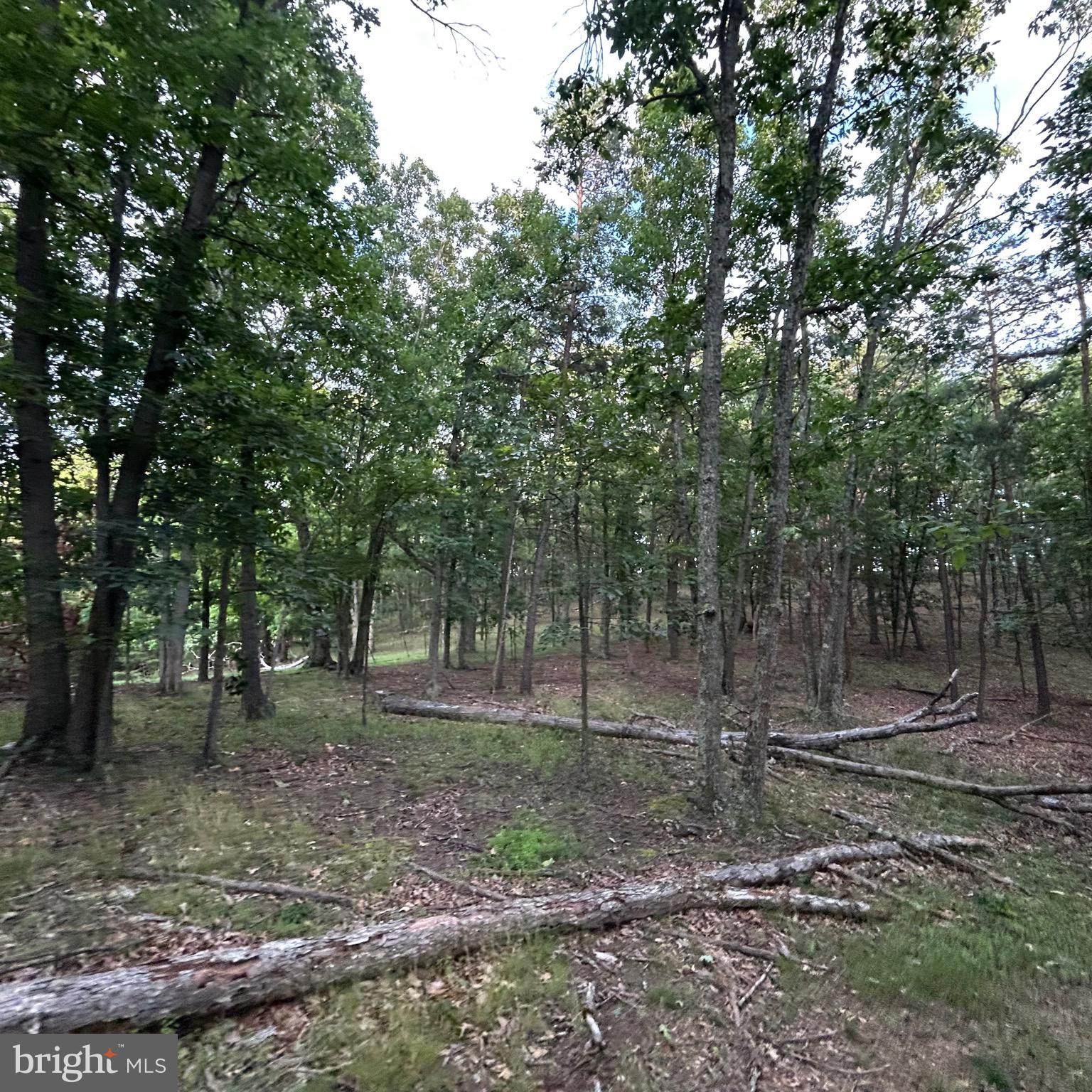0 Headsville Road Keyser, WV 26726 - Photo 27 of 46