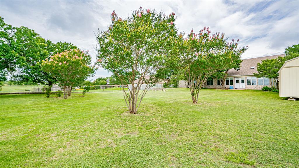 111 Scenic Drive Dublin, TX 76446 - Photo 36 of 40 a huge green field with lots of trees