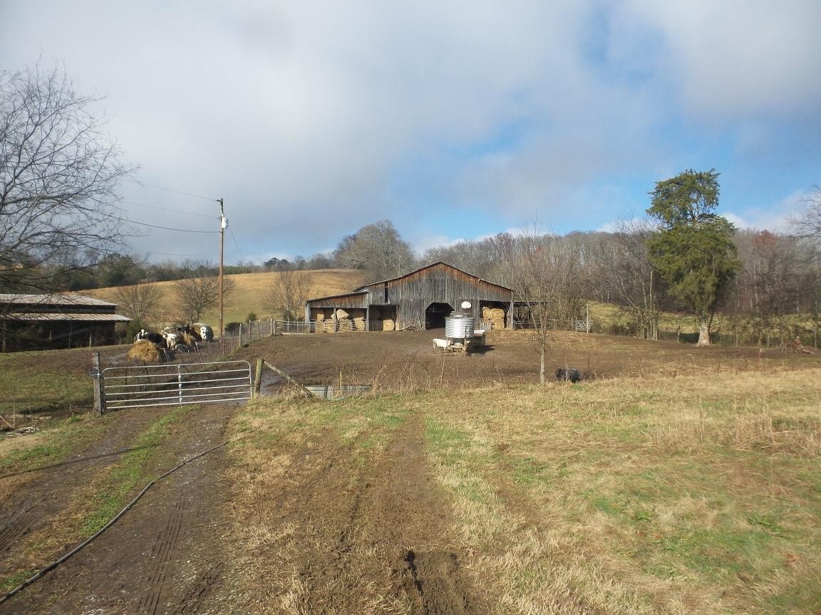 0 Dalton Road New Market, TN 37820 - Photo 1 of 23