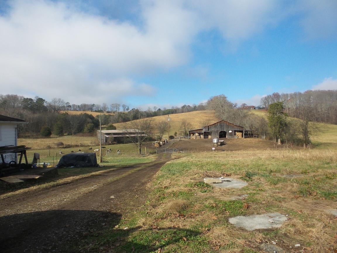 0 Dalton Road New Market, TN 37820 - Photo 11 of 23