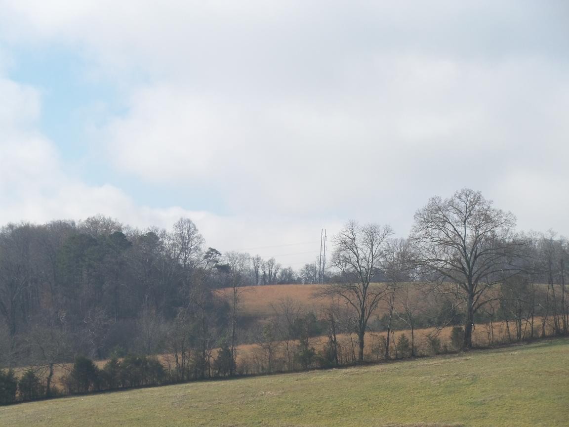 0 Dalton Road New Market, TN 37820 - Photo 12 of 23