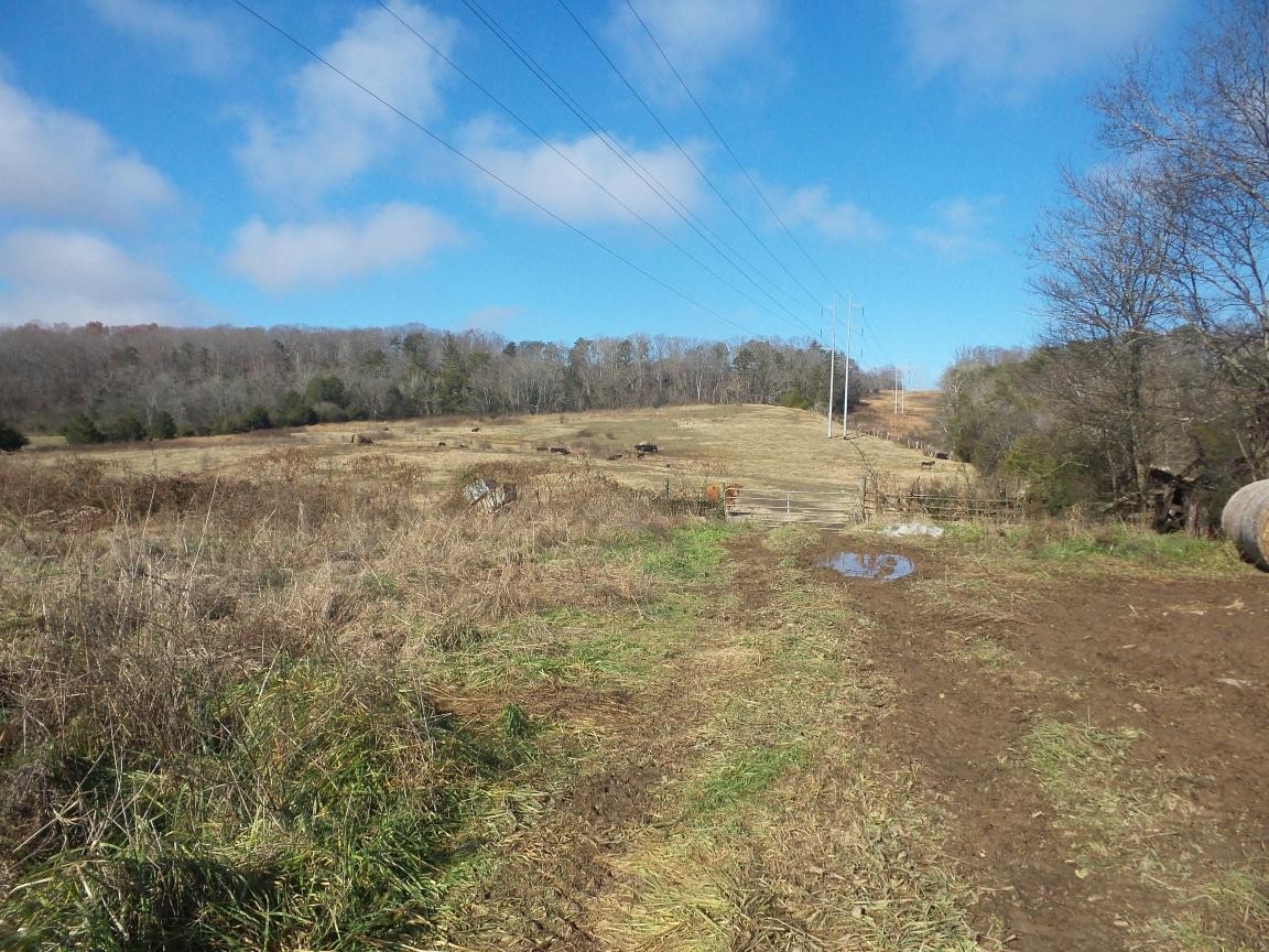 0 Dalton Road New Market, TN 37820 - Photo 14 of 23