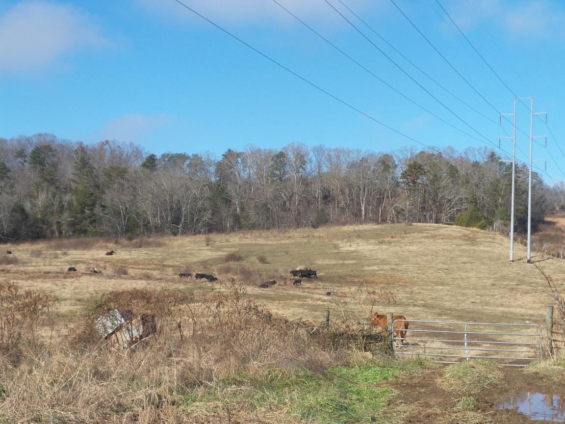 0 Dalton Road New Market, TN 37820 - Photo 15 of 23