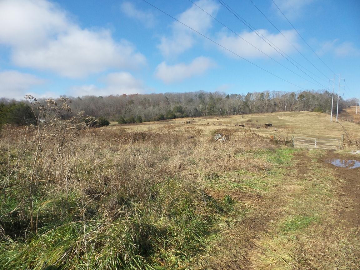0 Dalton Road New Market, TN 37820 - Photo 16 of 23
