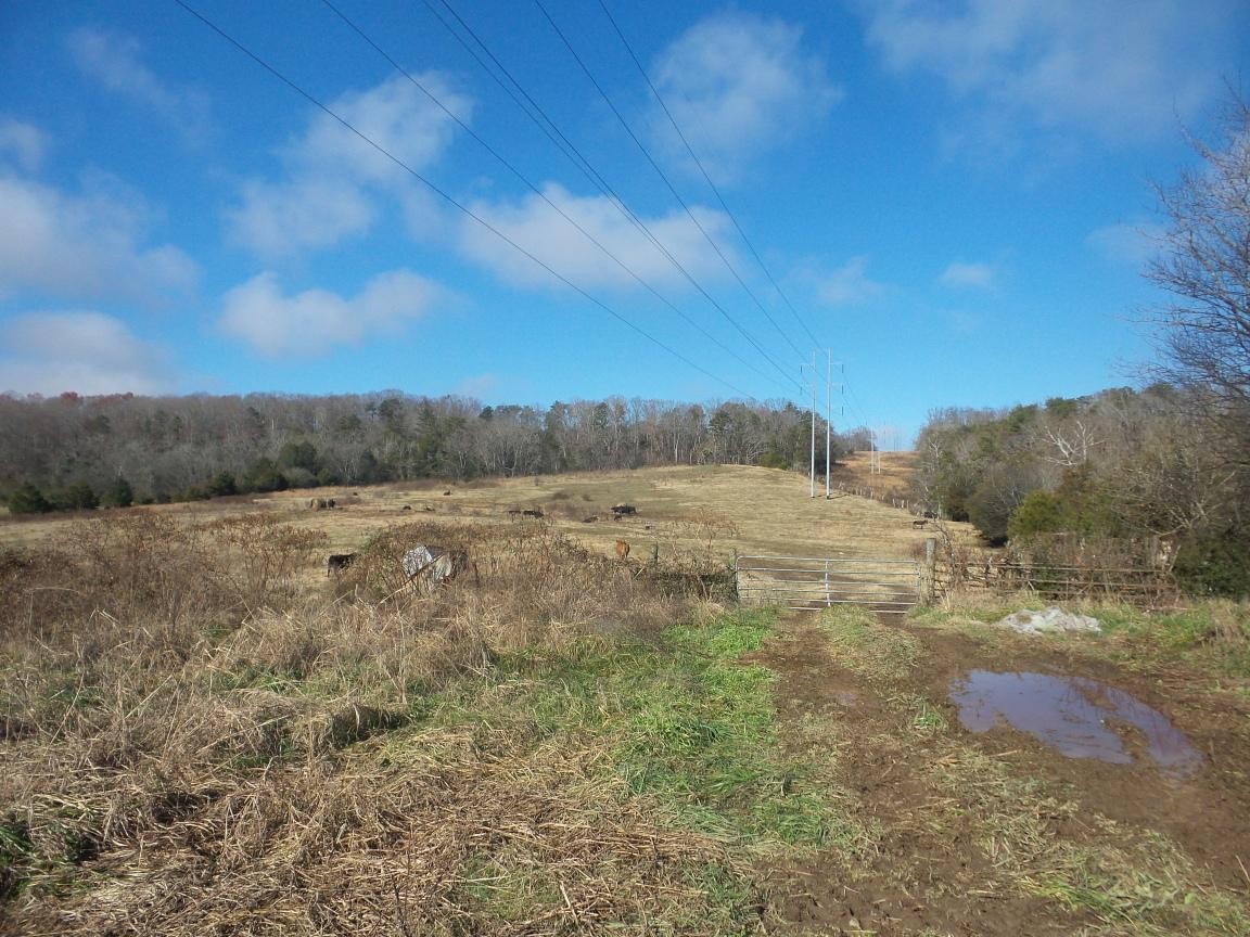 0 Dalton Road New Market, TN 37820 - Photo 18 of 23