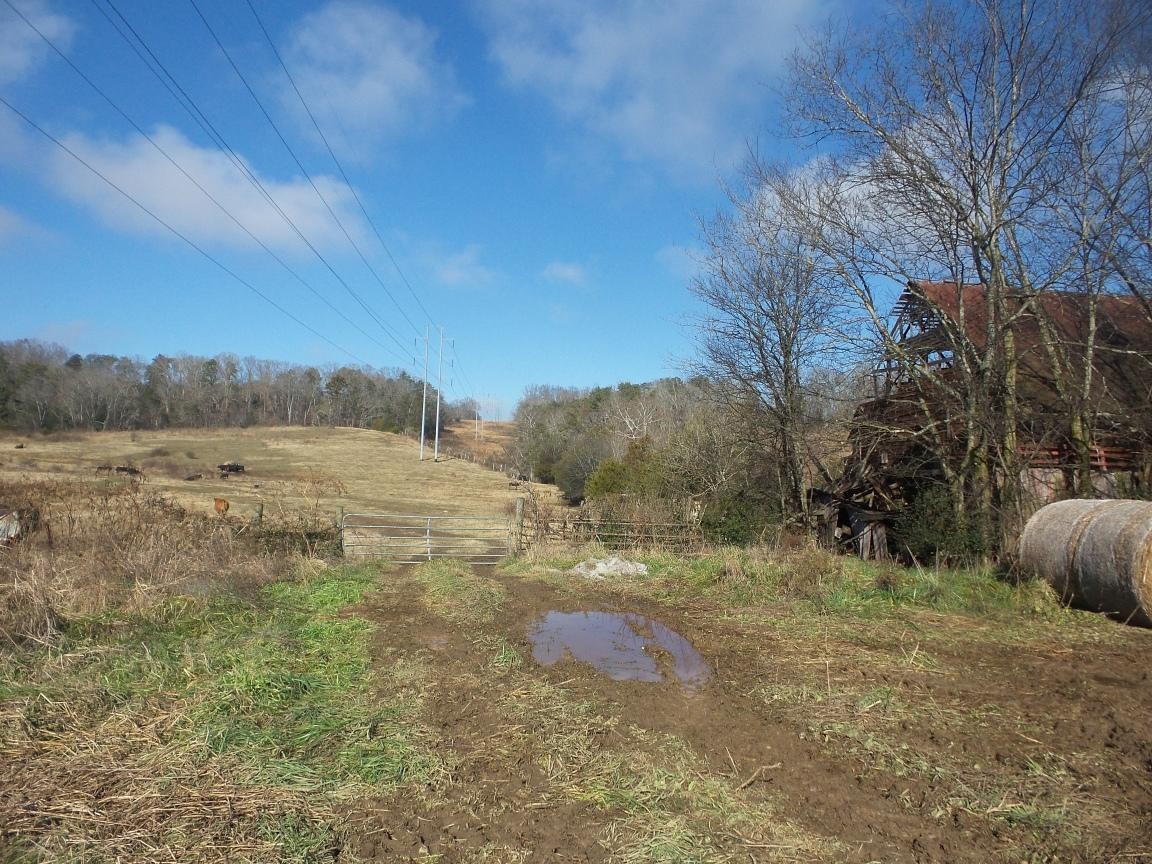 0 Dalton Road New Market, TN 37820 - Photo 19 of 23