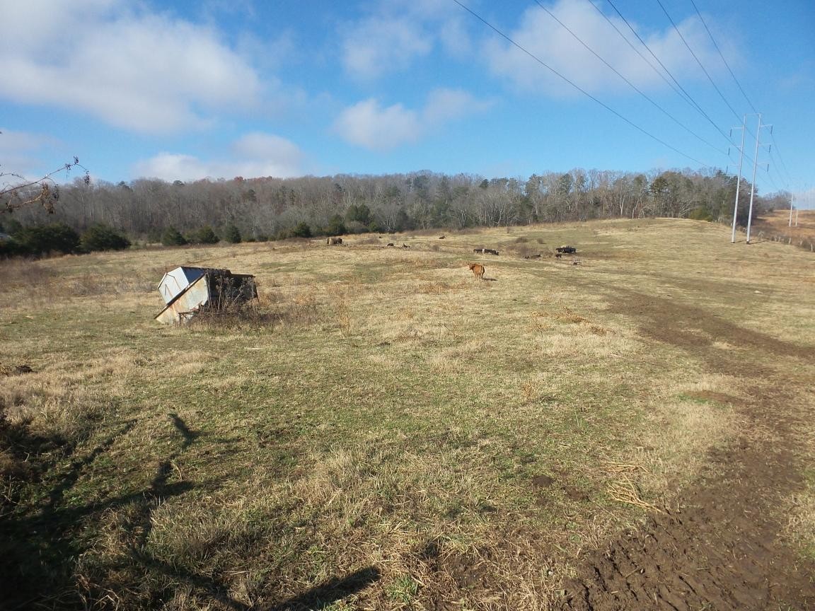 0 Dalton Road New Market, TN 37820 - Photo 20 of 23