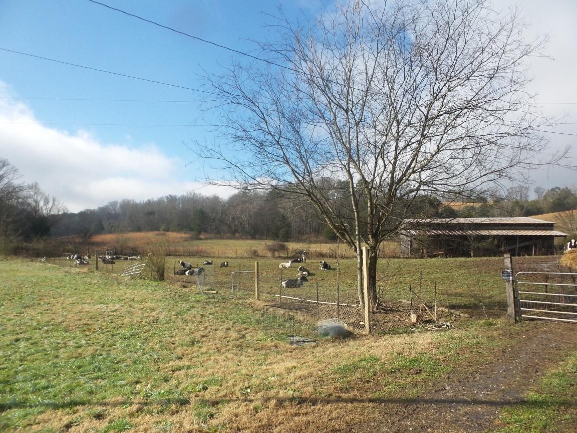 0 Dalton Road New Market, TN 37820 - Photo 2 of 23
