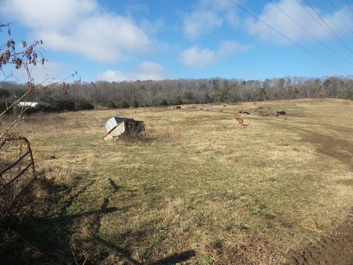 0 Dalton Road New Market, TN 37820 - Photo 21 of 23