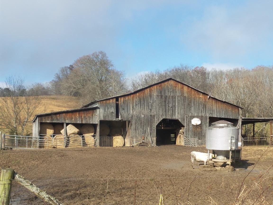 0 Dalton Road New Market, TN 37820 - Photo 5 of 23