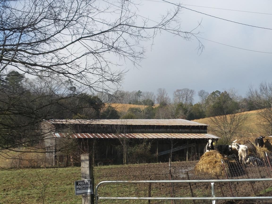 0 Dalton Road New Market, TN 37820 - Photo 6 of 23