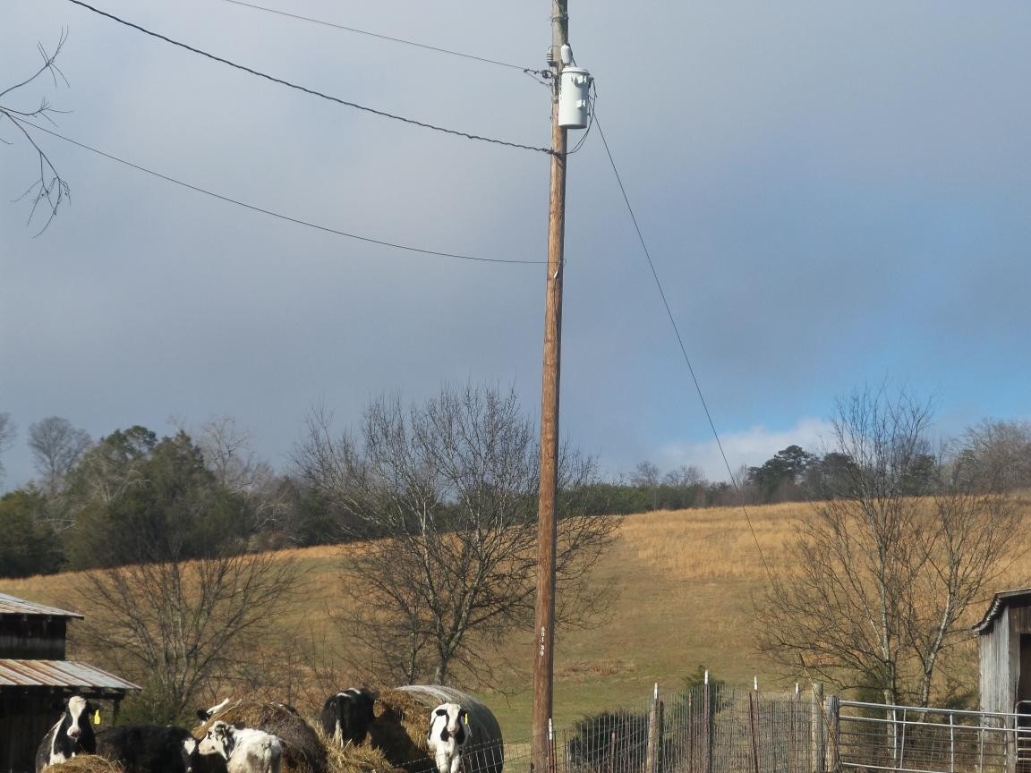 0 Dalton Road New Market, TN 37820 - Photo 7 of 23