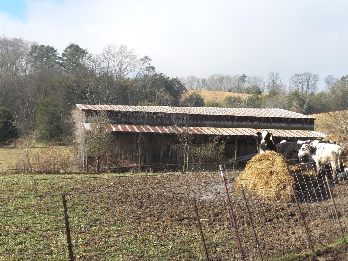 0 Dalton Road New Market, TN 37820 - Photo 8 of 23