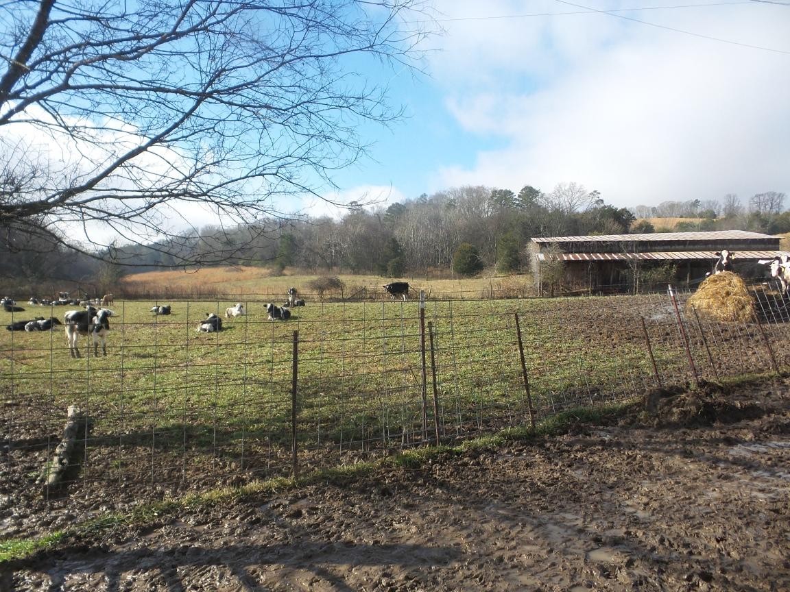 0 Dalton Road New Market, TN 37820 - Photo 9 of 23