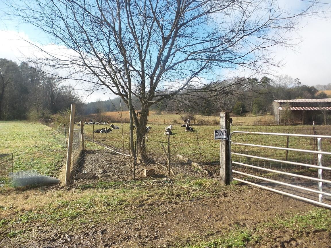 0 Dalton Road New Market, TN 37820 - Photo 10 of 23