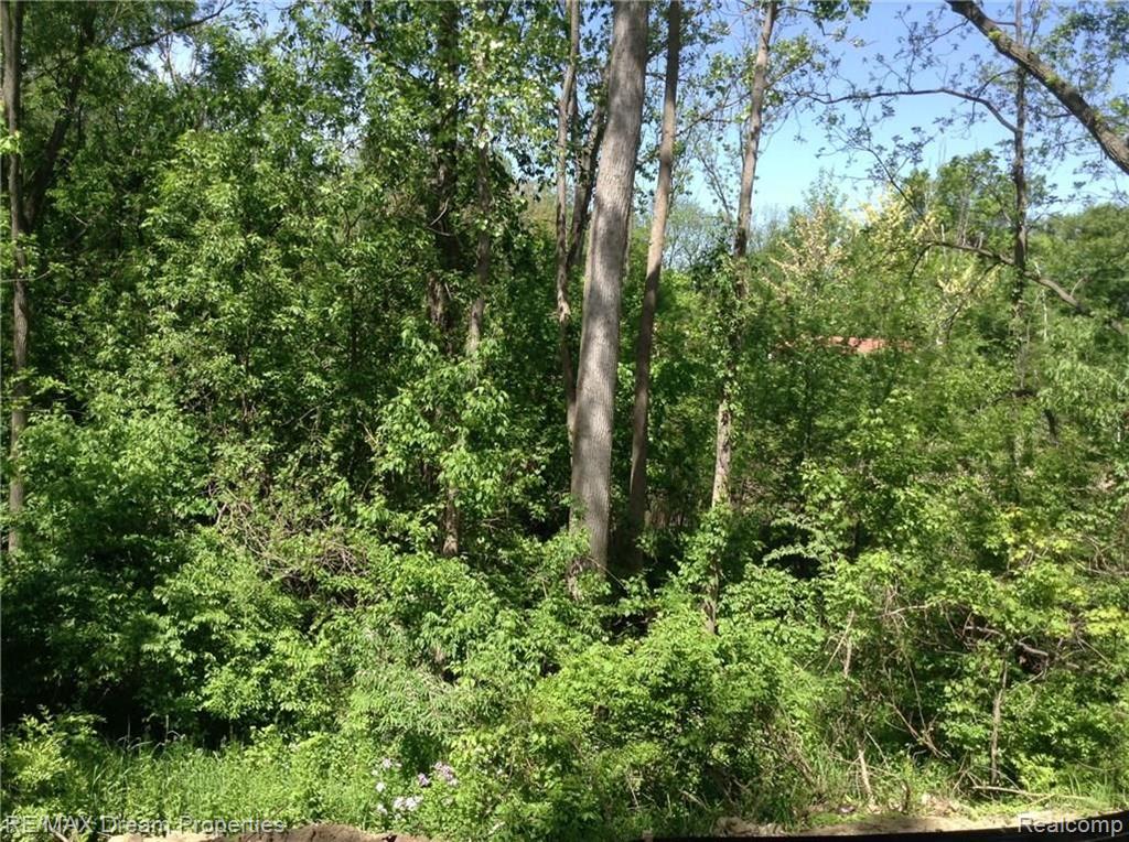 20437 Angling Street Livonia, MI 48152 - Photo 18 of 18