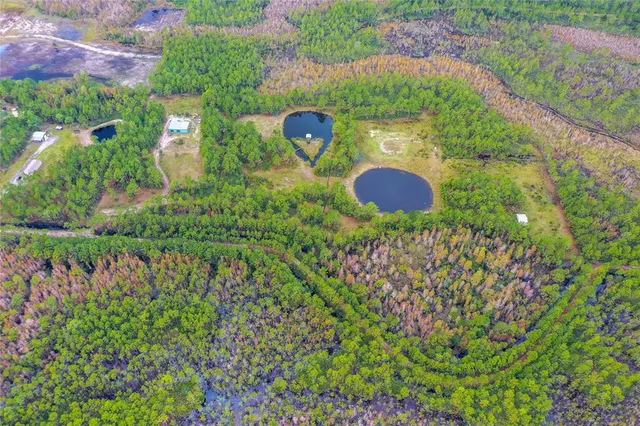 a bird view of a garden
