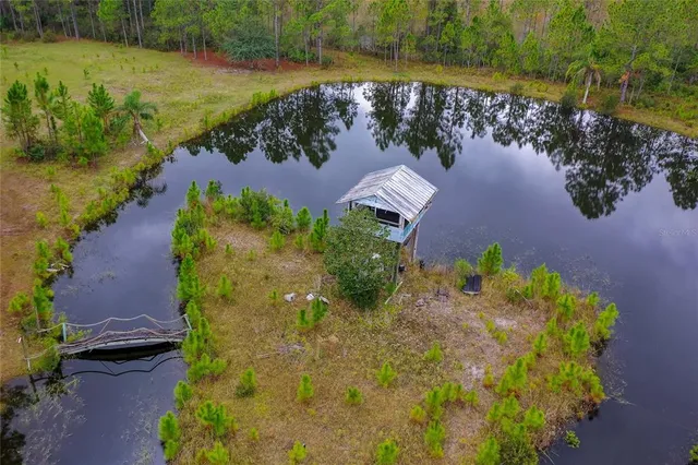 an aerial view of lake houses with outdoor space and trees all around